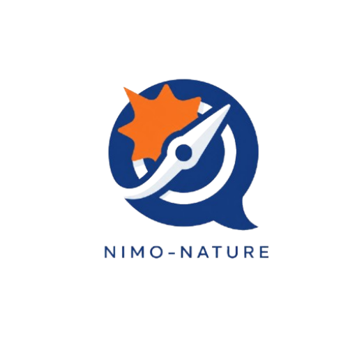 site_logo3